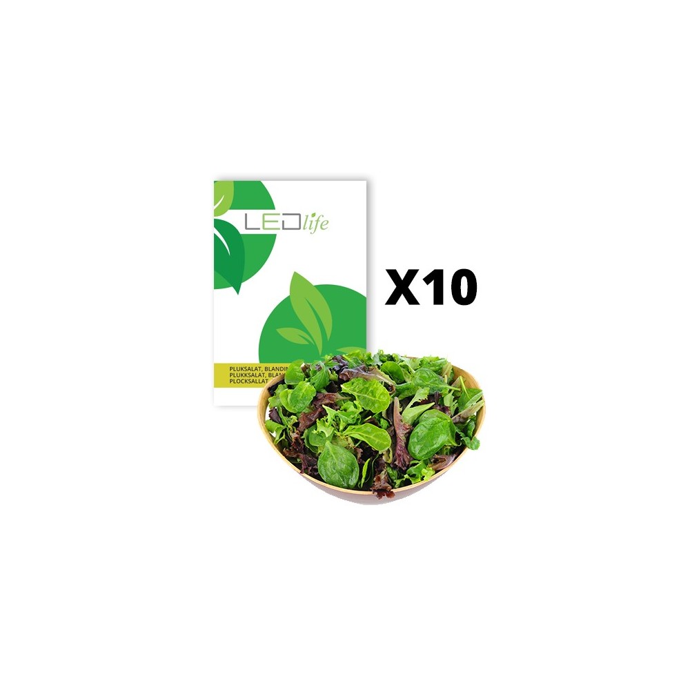 Pluksalat Frø Baby Leaf Blanding - Baby  - 5744002526032