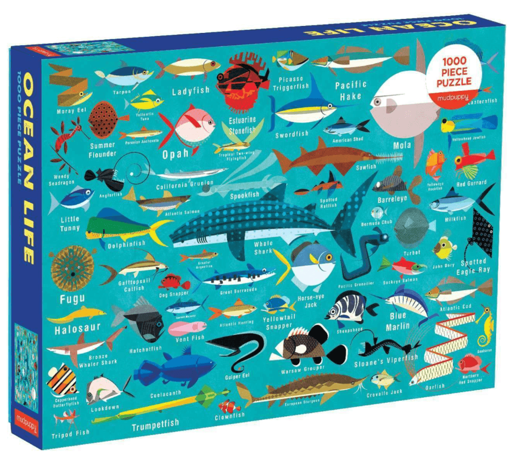 Ocean Life 1000 Piece Puzzle - Hddndpnw Baby  - 9780735349070