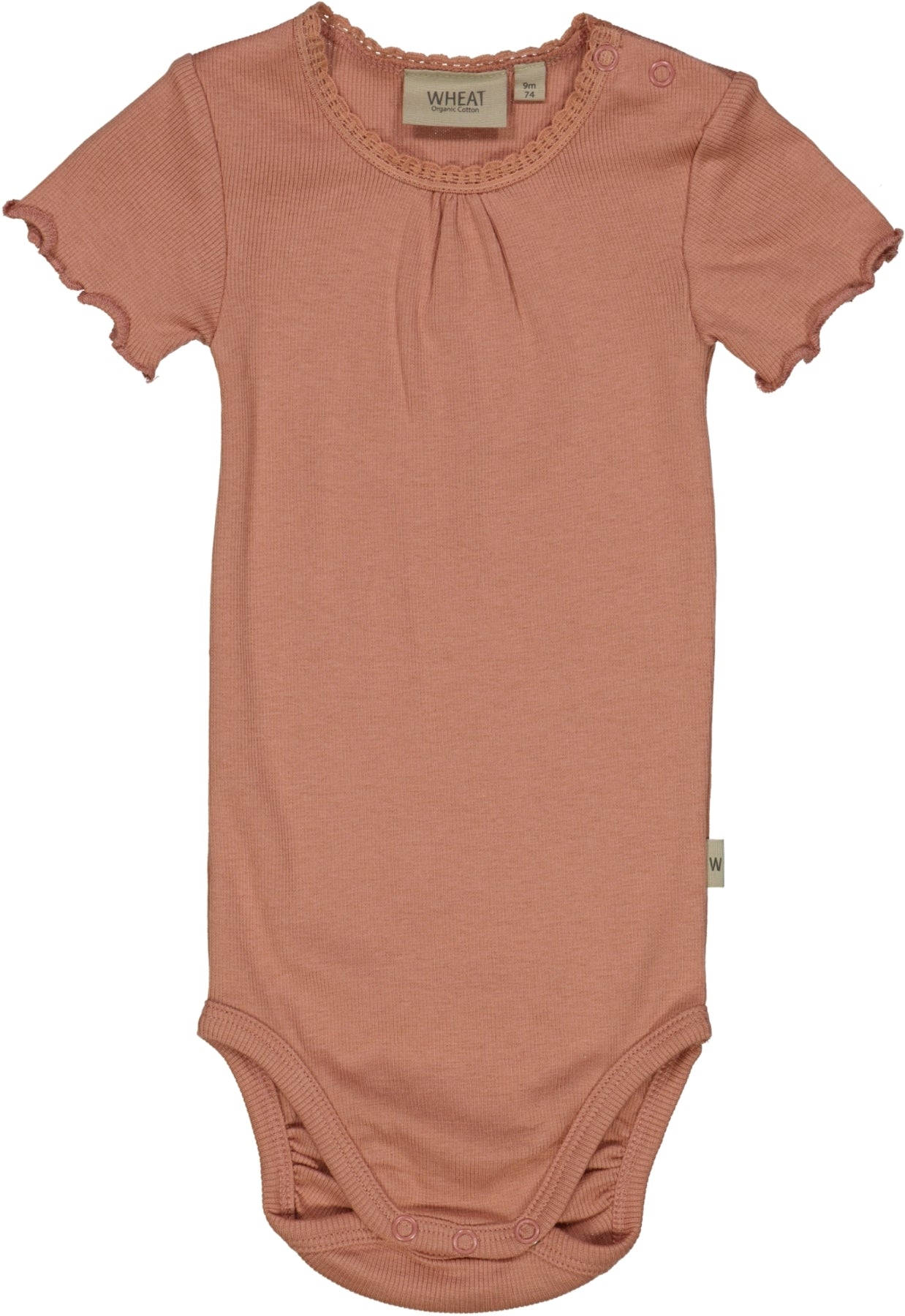 Baby Body Rib Lace, Korte ærmer, Cameo Brown, Wheat - Wheat Baby  - 1257005997456